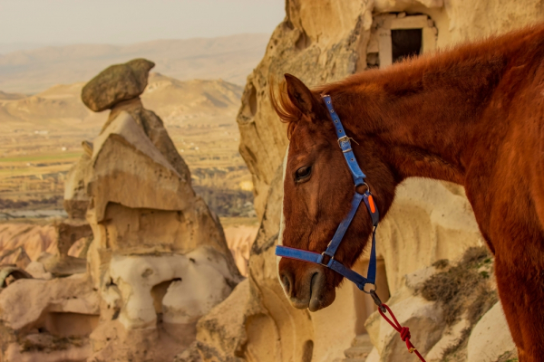 Horseback Riding Tour in Cappadocia